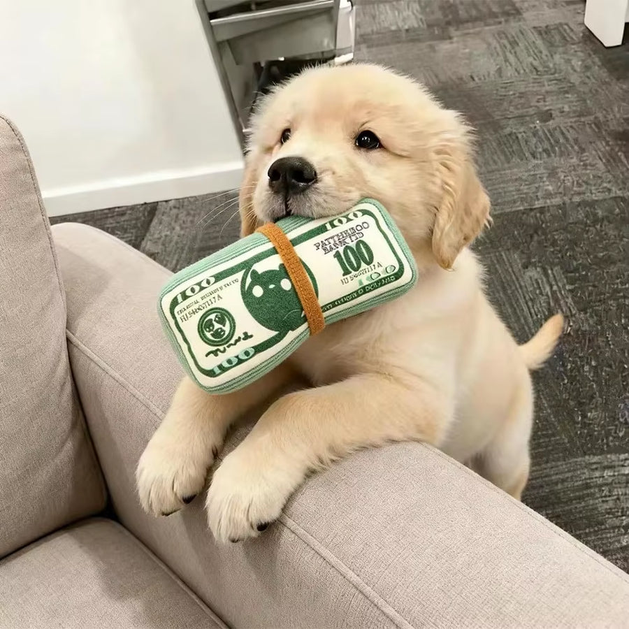 Dog Toy Money Shape Bite Resistant Indestructible Squeaky Toy Sound Interactive Self-Play for Dog Puppy Cat Pet Training Supplie