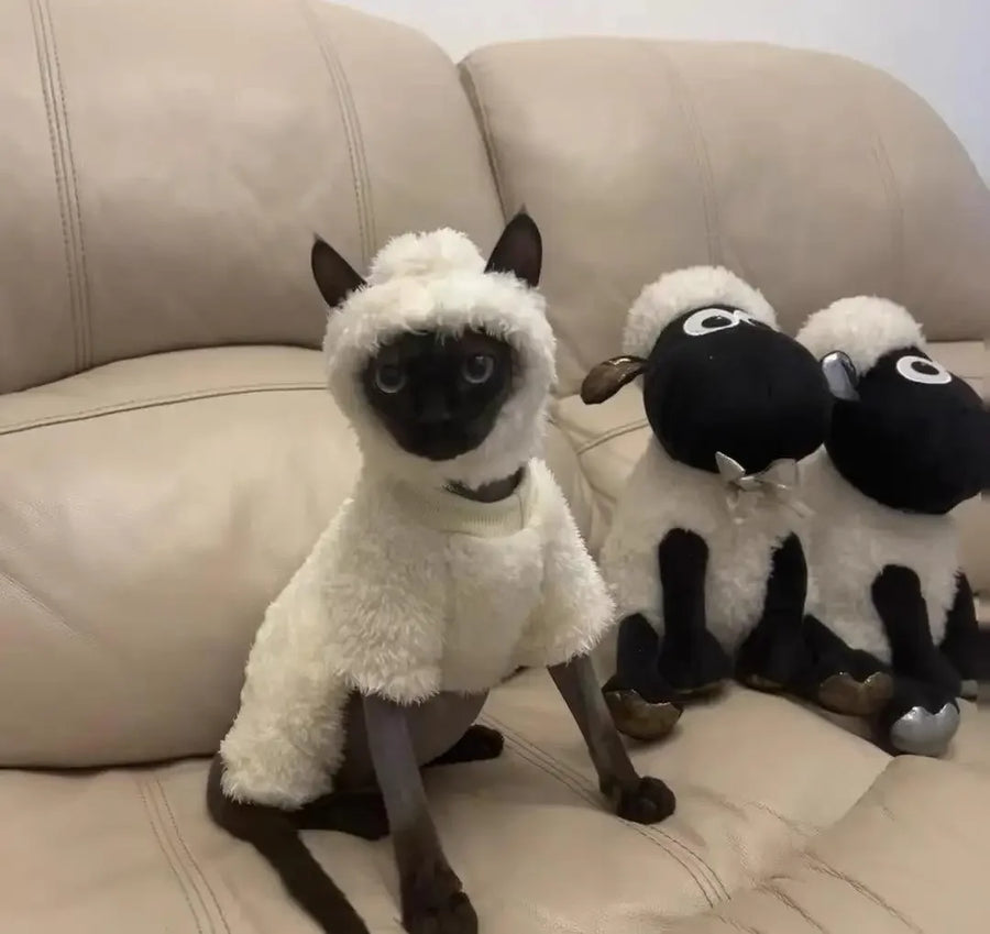 Hairless Cat Clothes Autumn and Winter Thickened Polar Fleece Warm Four-Legged Sphinx Devon Cat Lamb Double-Sided Fleece Cotton