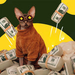 Dog Toy Money Shape Bite Resistant Indestructible Squeaky Toy Sound Interactive Self-Play for Dog Puppy Cat Pet Training Supplie