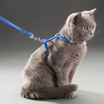 Low Price Rabbit Cat Harness and Leash Set Adjustable Nylon Harnesses for Bunny Kitten Pet Outdoor Walking Supplies Accessories