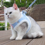 Autumn and Winter Warm Chihuahua Dog Harness with Fur, Pet Harness and Leash Set for Walking Dogs, Puppy Yorkies Mascotas Accessories