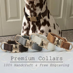 Multiple Colour Velvet Personalise Dog Collar Leash Set with Bow,Brown+Grey+White,Engraved Pet Name Plate Metal Buckle,Wedding P