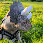 Pet Triceratops Transformation Hat! Dog Funny Headgear Halloween/Party/Cute Pet Photo Eye-Catching Outfit