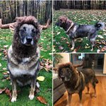 Cute Pet Cosplay Clothes Transfiguration Cow Horn Costume Winter Warm Wig Cat Large Dog Party Decoration with Ear Pet Apparel